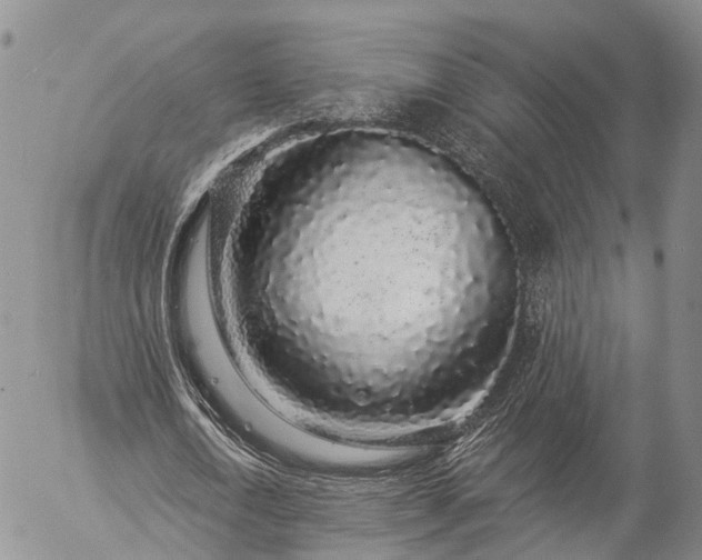 X0000057090722200509161628