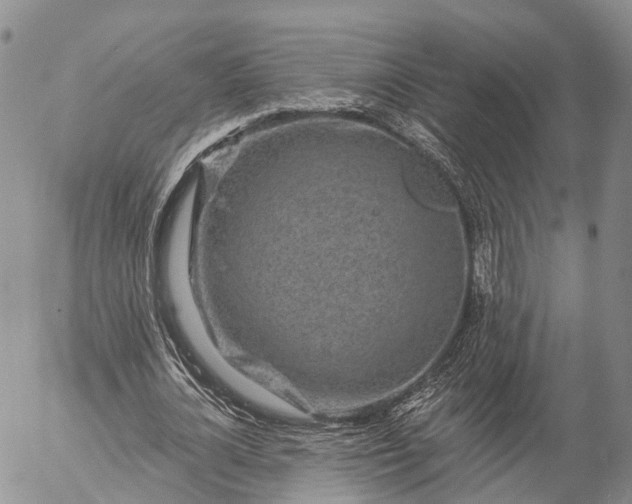 X0000057090724200509161628