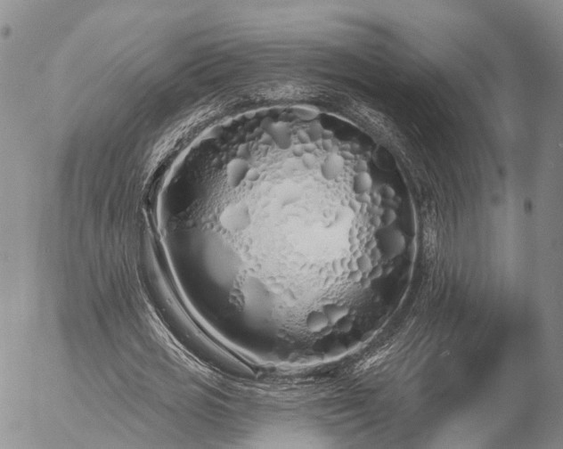 X0000057090725200509161628