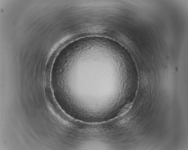 X0000057090726200509161628