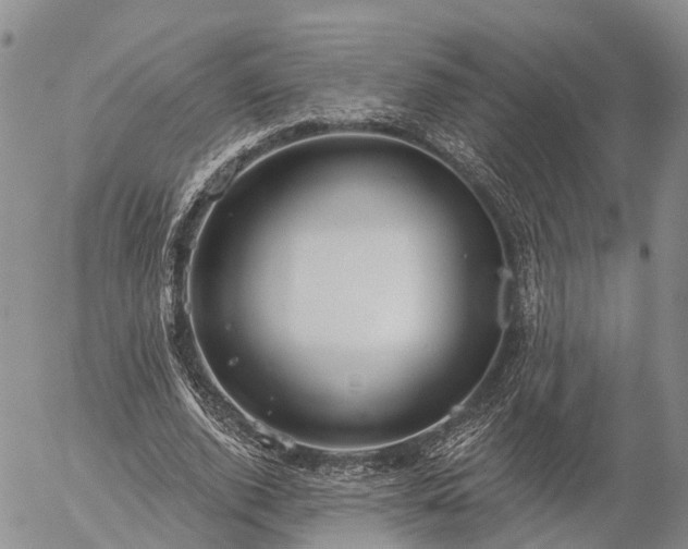 X0000057090728200509161628