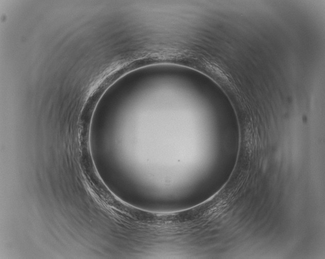 X0000057090730200509161629