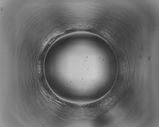 X0000057090731200509161629