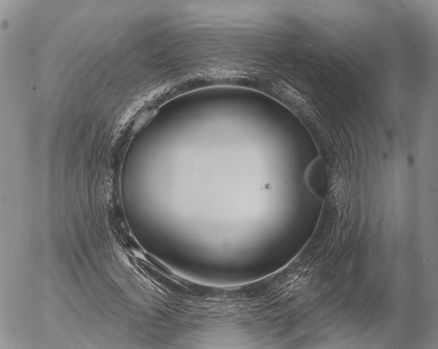 X0000057090732200509161629