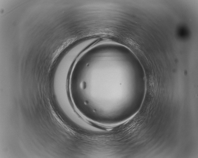 X0000057090734200509161629