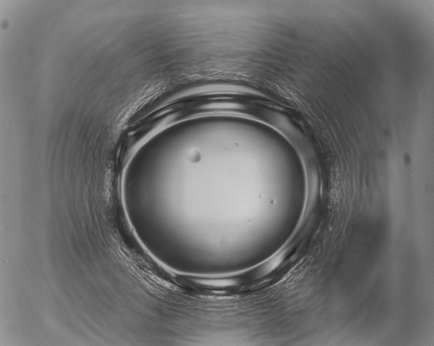 X0000057090735200509161629