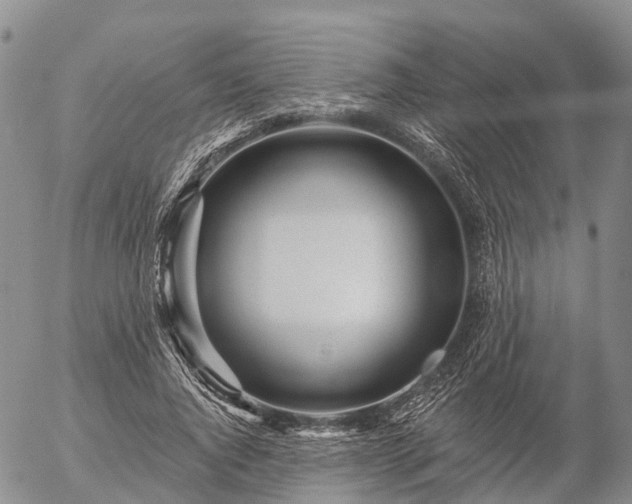 X0000057090736200509161629