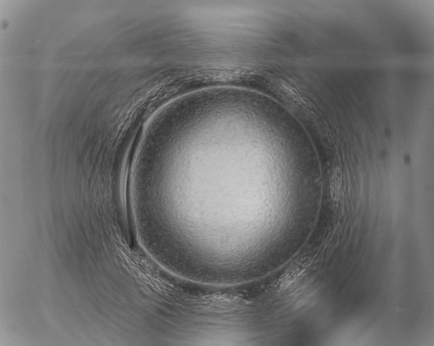 X0000057090737200509161629