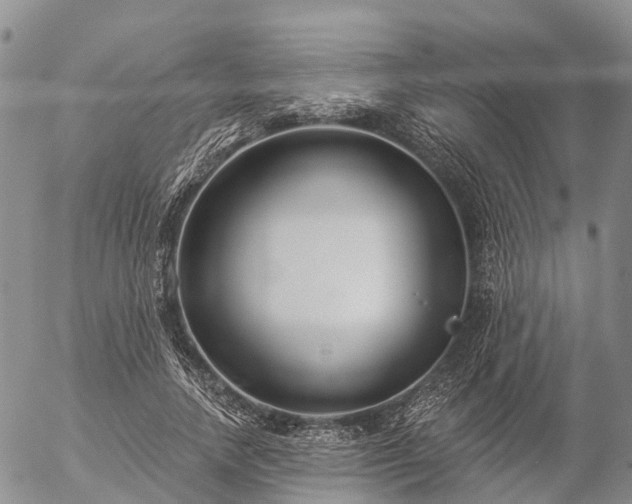 X0000057090738200509161629