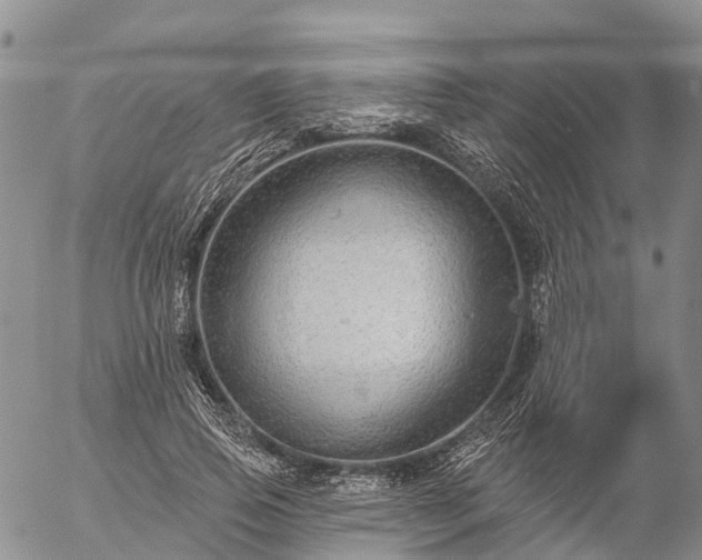 X0000057090741200509161629