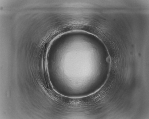 X0000057090742200509161629