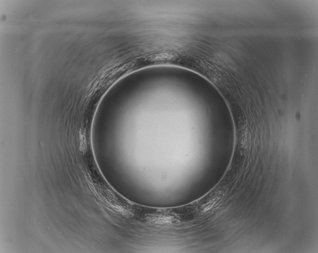 X0000057090743200509161629