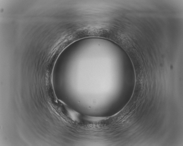 X0000057090744200509161629