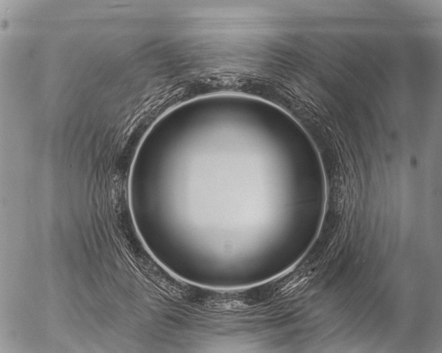 X0000057090747200509161629