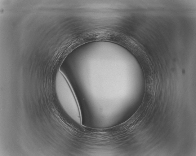 X0000057090748200509161629