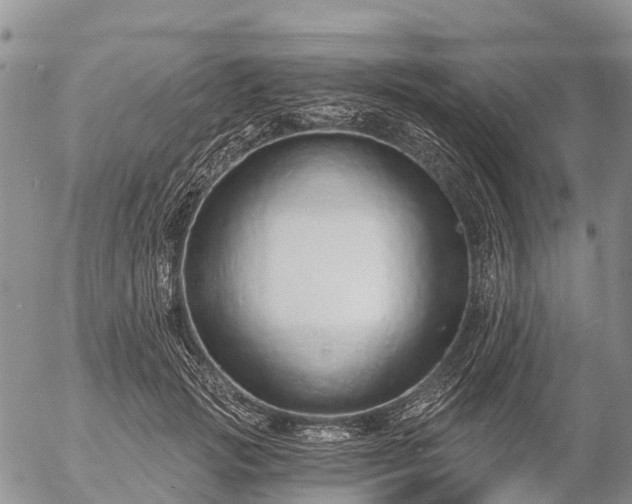 X0000057090749200509161629