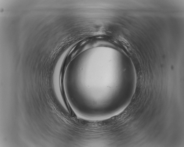 X0000057090750200509161629