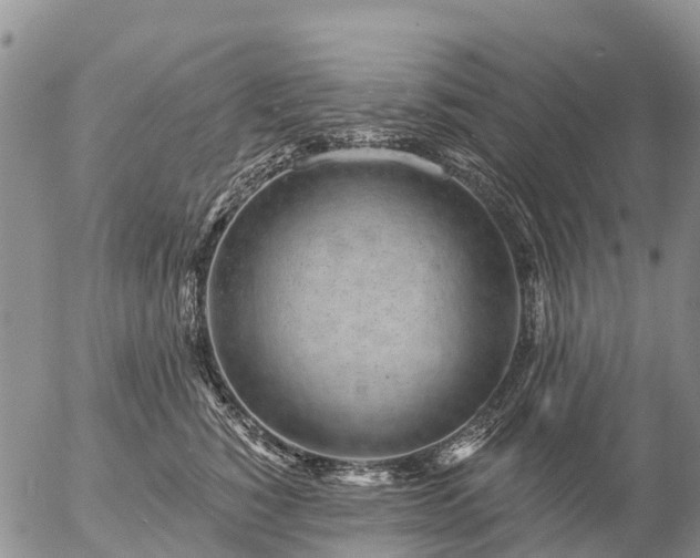 X0000057090760200509161629