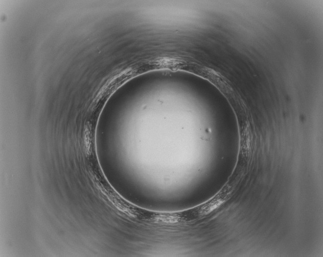 X0000057090762200509161629