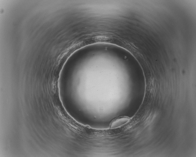 X0000057090763200509161629