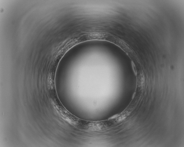 X0000057090764200509161629