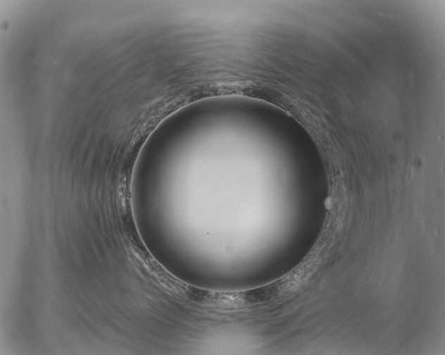 X0000057090768200509161629