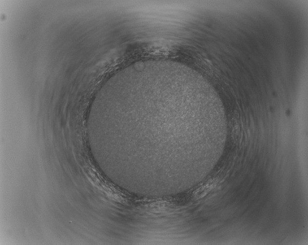 X0000057090769200509161628