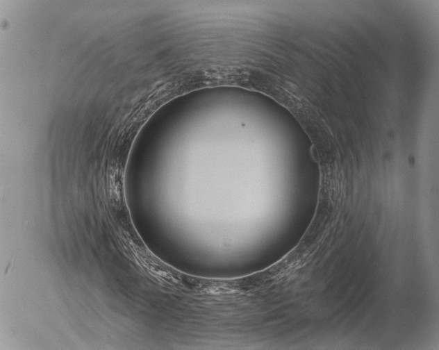 X0000057090770200509161628