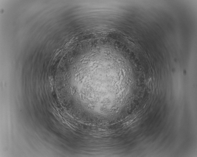 X0000057090772200509161628