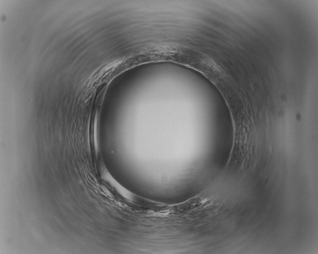 X0000057090773200509161628