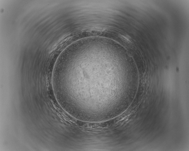 X0000057090774200509161628