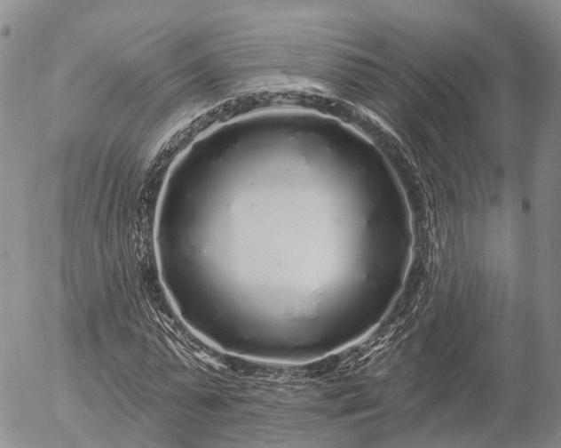 X0000057090775200509161628