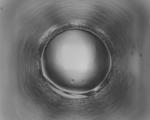 X0000057090776200509161628