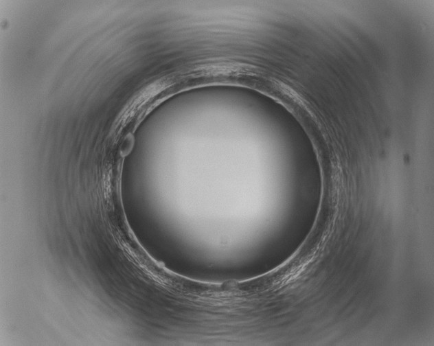 X0000057090778200509161628