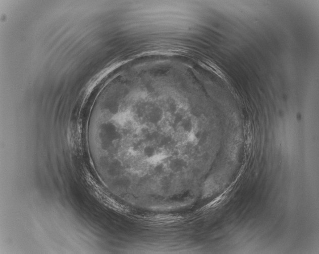 X0000057090779200509161628