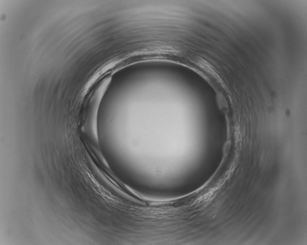 X0000057090781200509161628