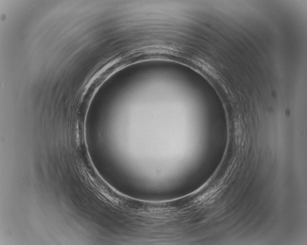 X0000057090782200509161628