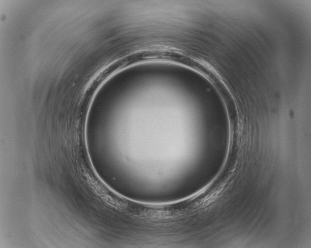 X0000057090783200509161628