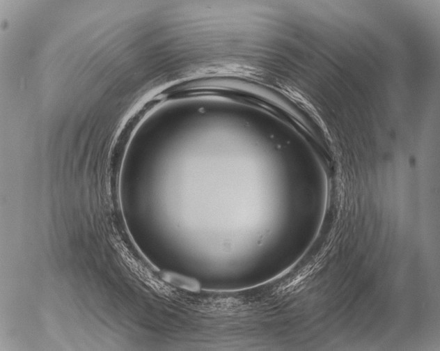 X0000057090784200509161628