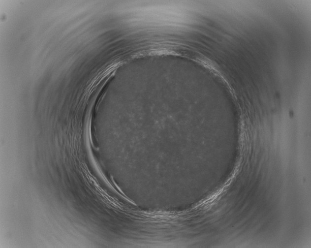 X0000057090785200509161628