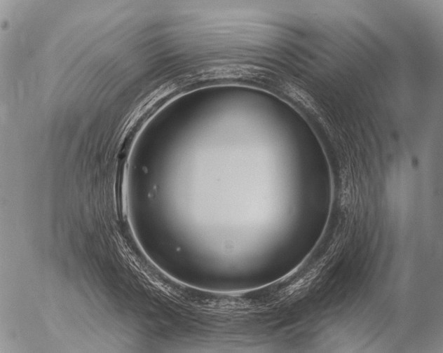 X0000057090786200509161628