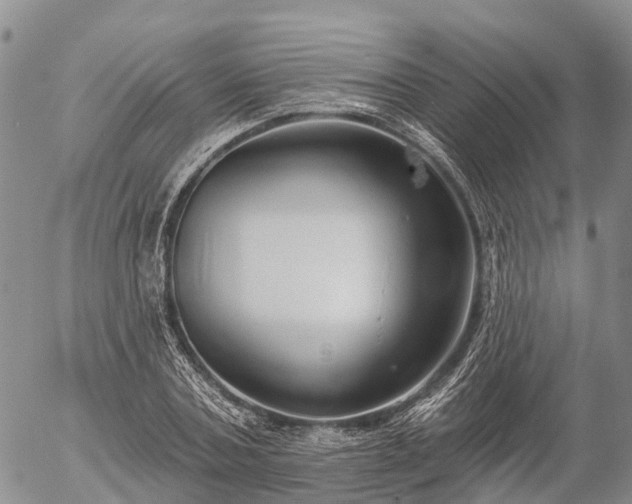 X0000057090787200509161628