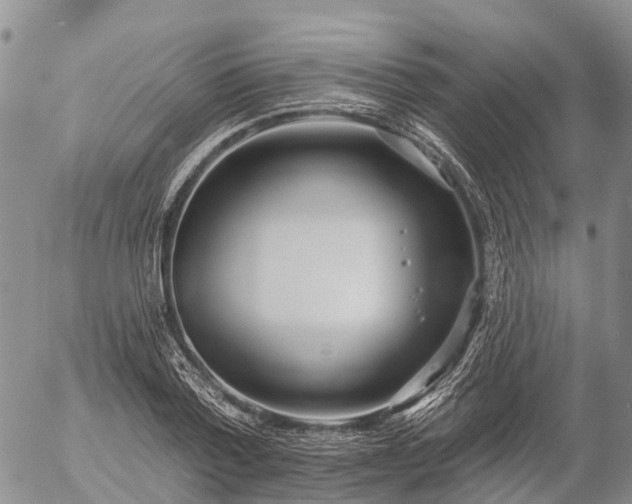 X0000057090788200509161628