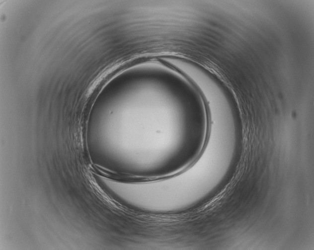 X0000057090789200509161628