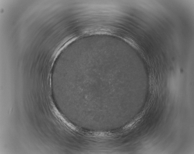 X0000057090790200509161628