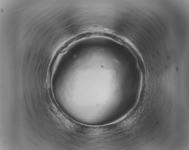 X0000057090791200509161628