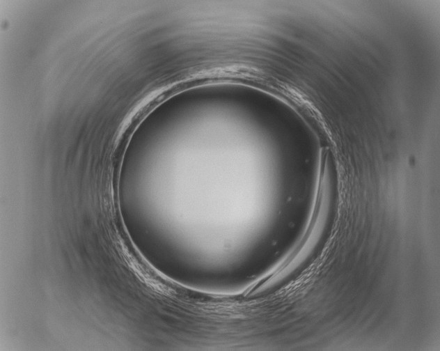 X0000057090792200509161628