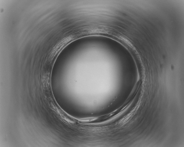 X0000057090793200509161628