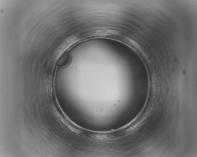 X0000057090794200509161628