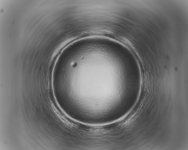 X0000057090795200509161628